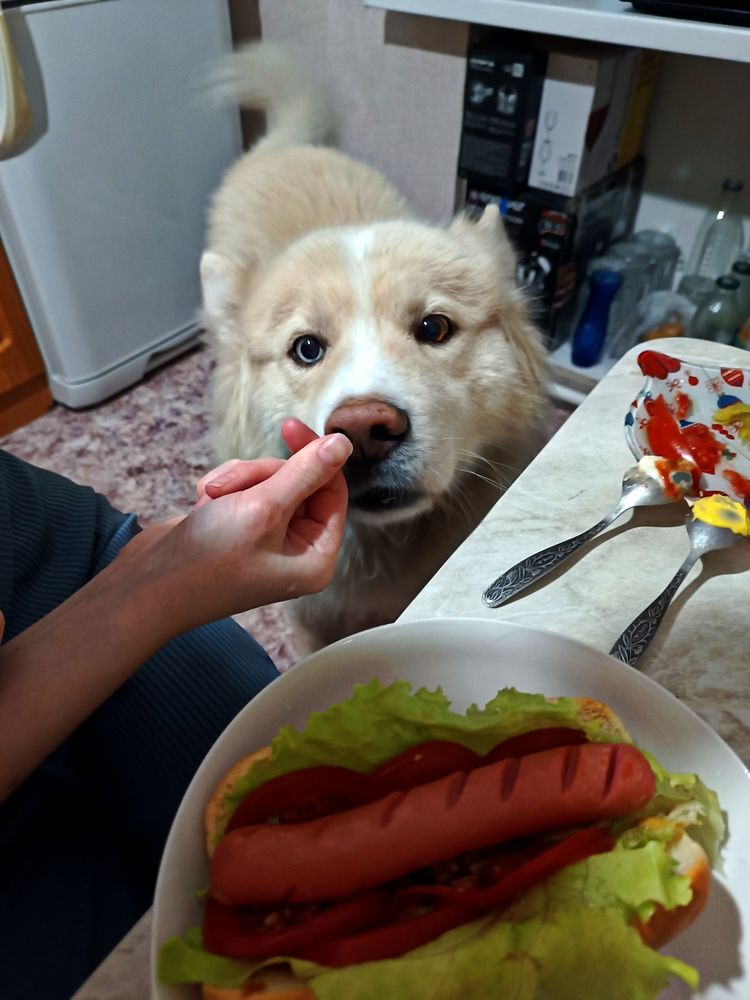 Photograph by Дарья Чертенкова