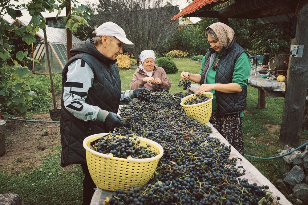 Photograph by Александр Шалагин