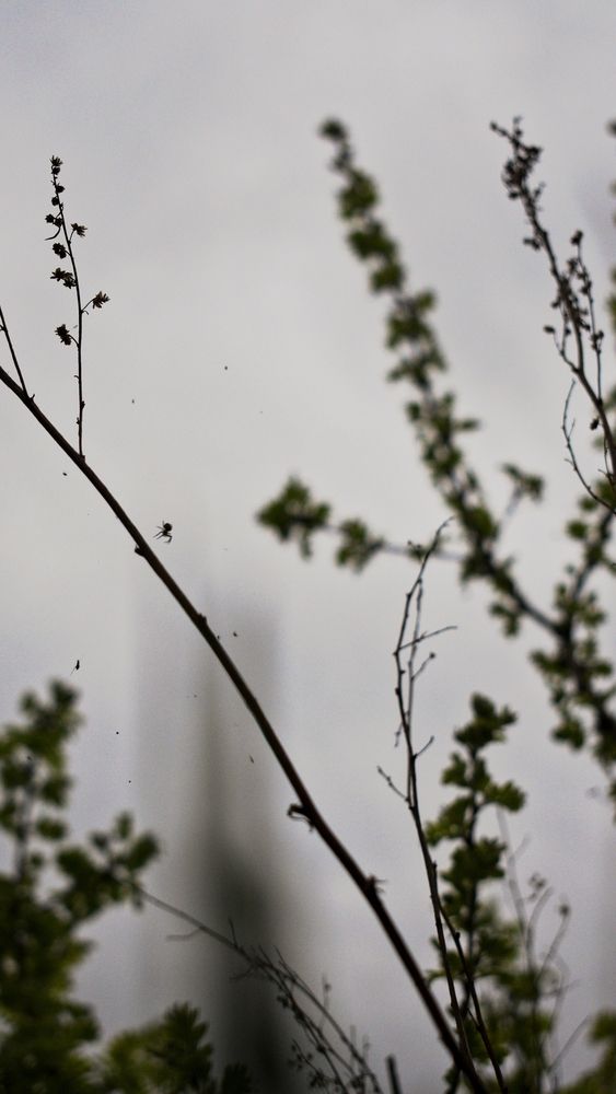 Photograph by Дарья Чертенкова