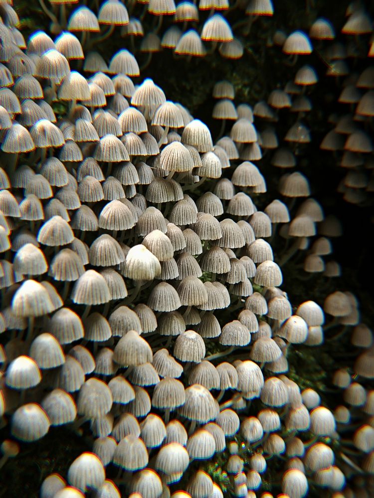 Photograph by Tatiana Potapenko