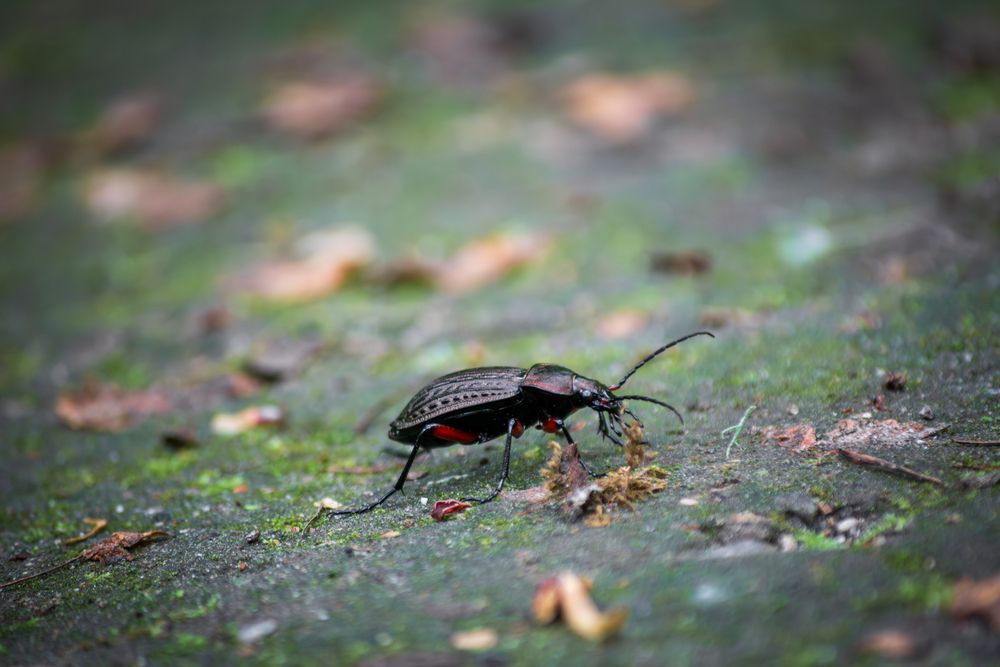Фотография автора Agita Leimane
