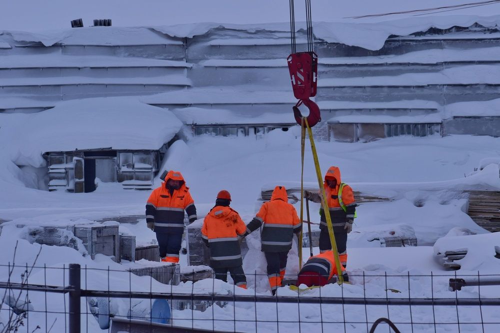 Фотография автора Нина Кольман