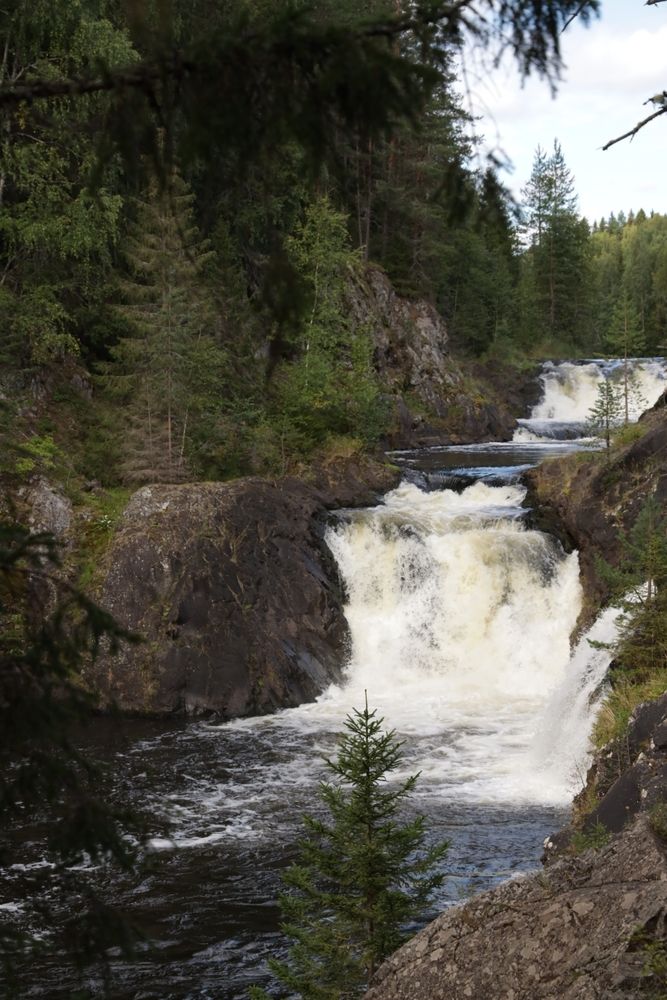 Бурный поток