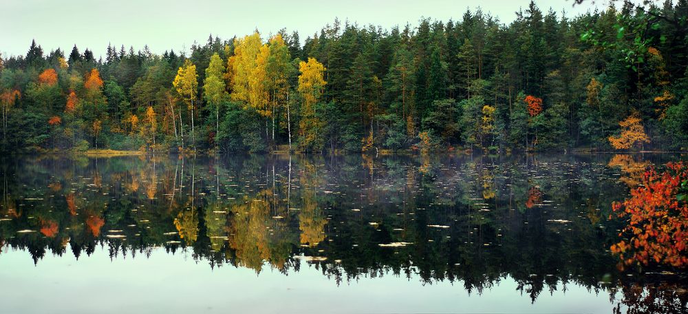 Фотография автора Анна Гаврилова