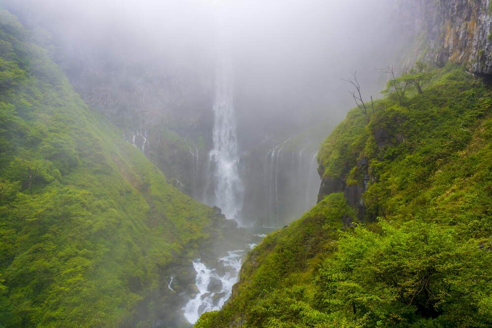 Фотография автора Вячеслав ИВАНОВ