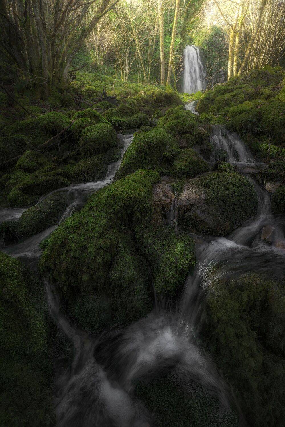 Фотография #13403369