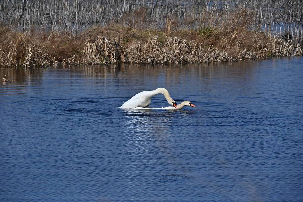 Photograph by Сергей Зубов