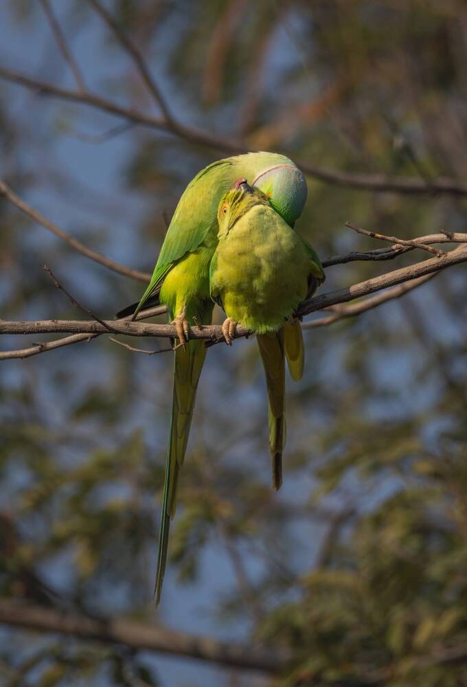 Photograph by Jalpa Shah