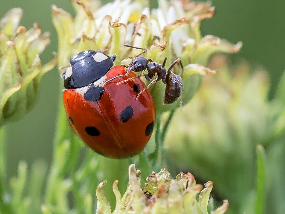 Фотография автора Людмила Прокофьева