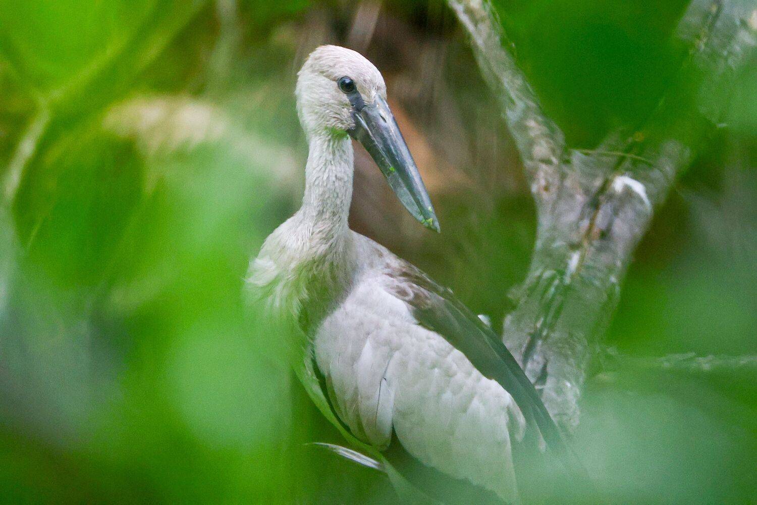 Фотография #13403482