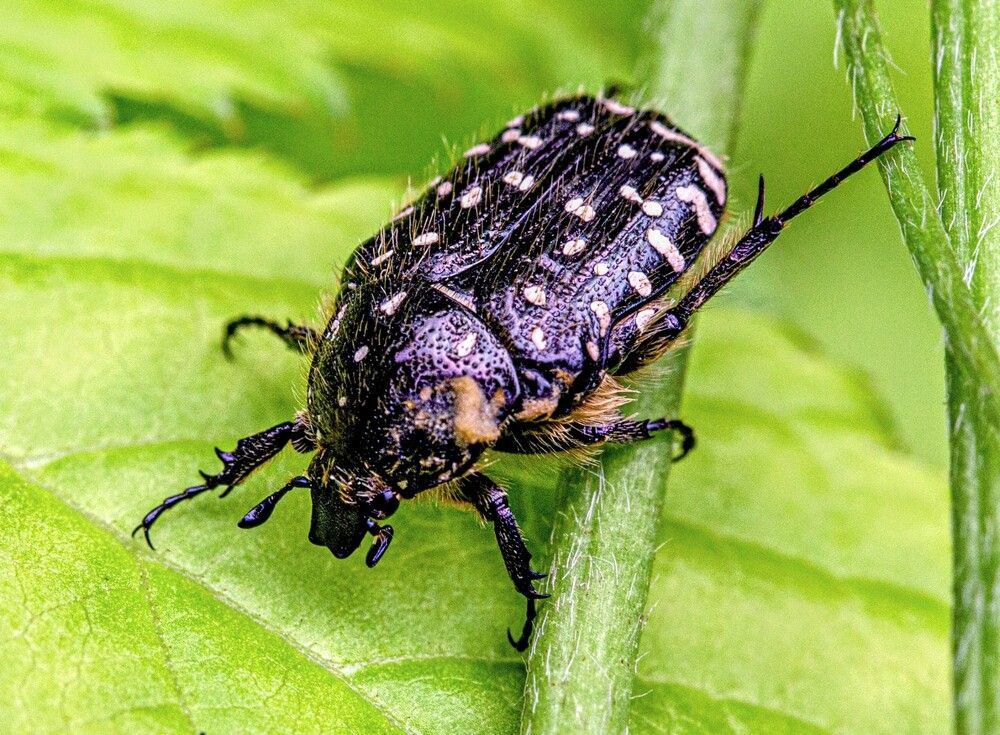 Фотография автора Людмила Прокофьева