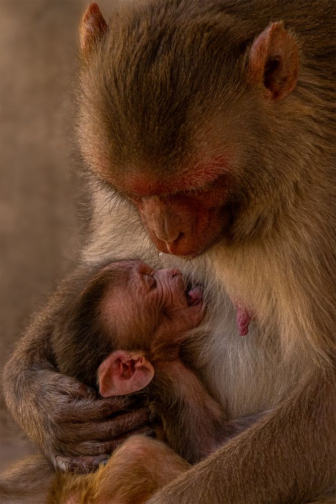 Photograph by Julia A Caesar