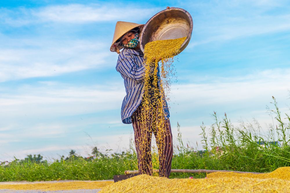 Photograph by Михаил