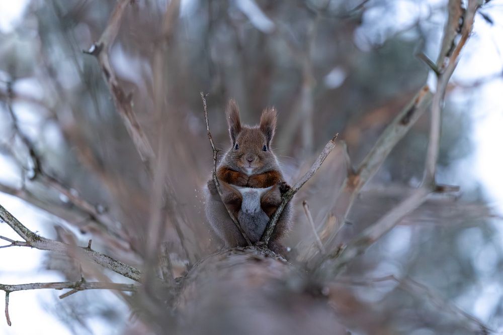 Photograph by Valentin Kolinko