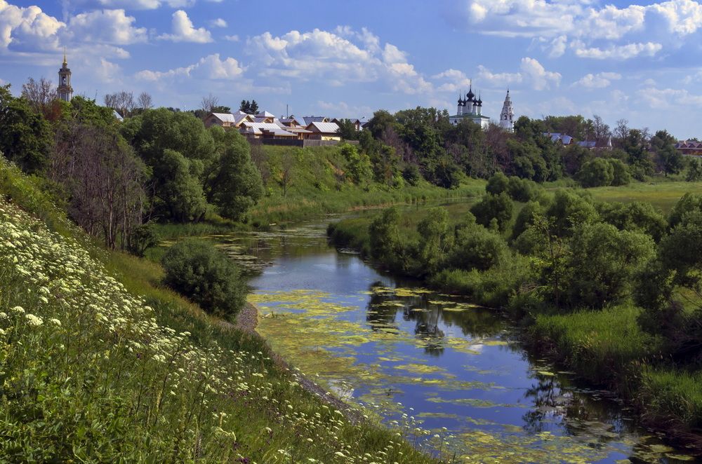 Фотография автора Татьяна Соловей
