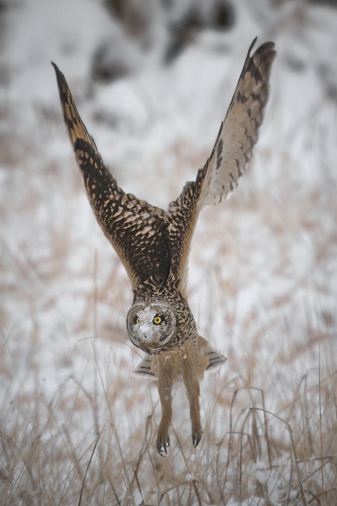 Photograph by Hiroki Matsubara