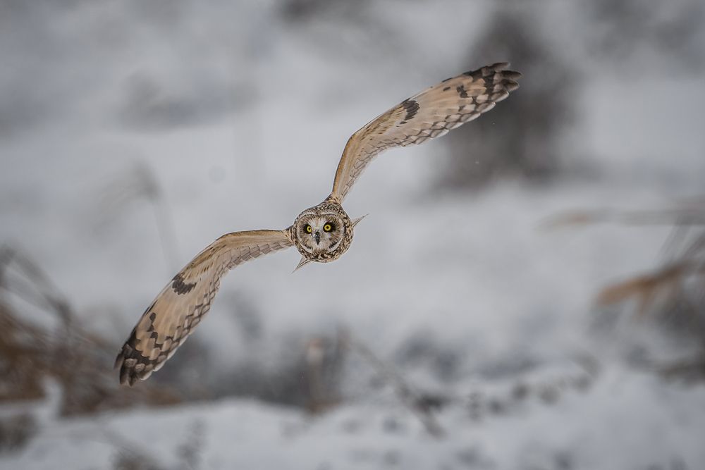 Photograph by Hiroki Matsubara