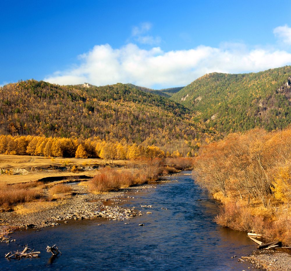 Фотография автора Igor Ferrum