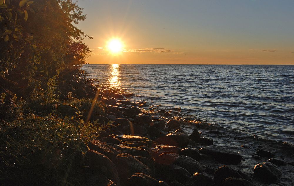 Фотография автора Анна Гаврилова