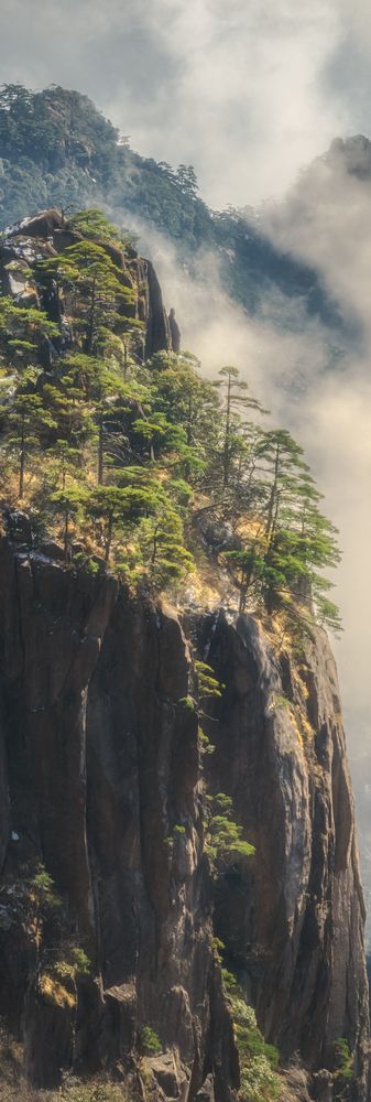 冬韵黄山·云起时
