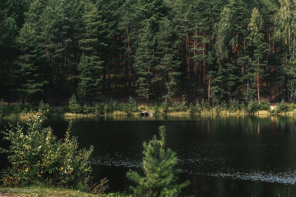 Фотография автора Оксана Пономаренко