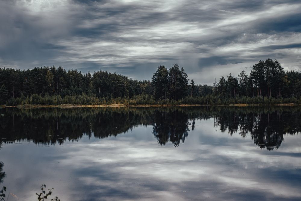Фотография автора Оксана Пономаренко
