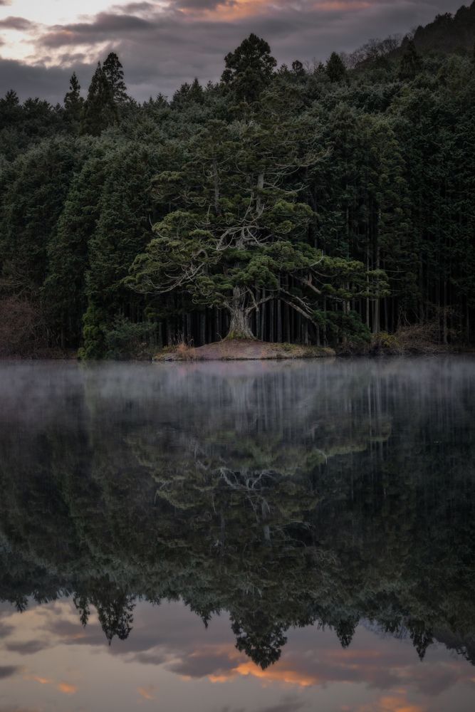 Photograph by Hiroki Matsubara