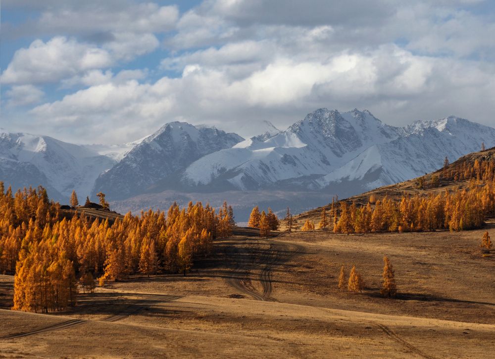 Photograph by Галина Хвостенко