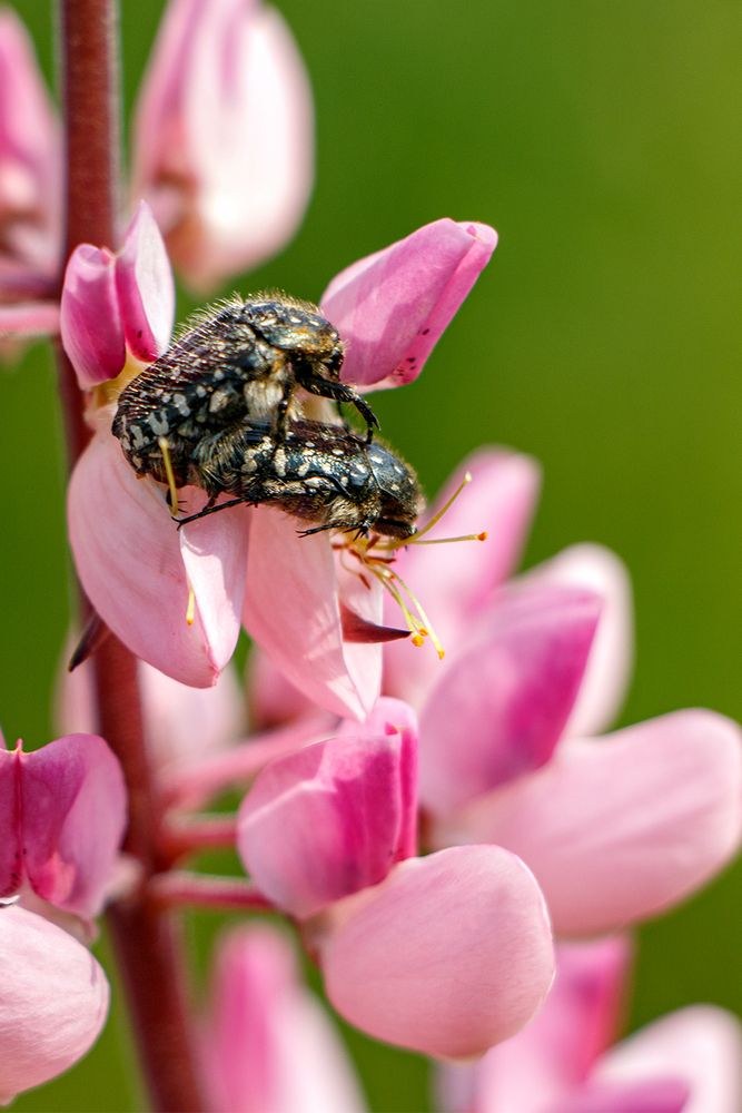 Photograph by Nadezhda Khrustaleva