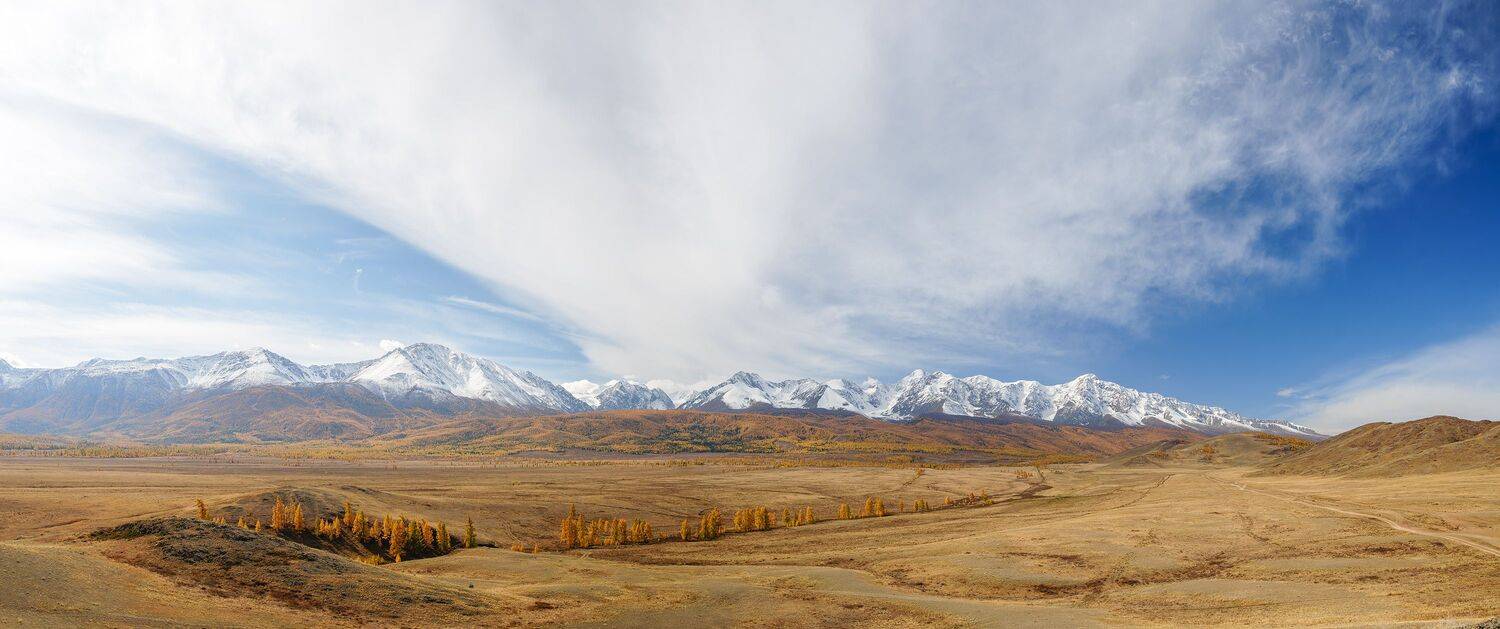 Photo #13403797