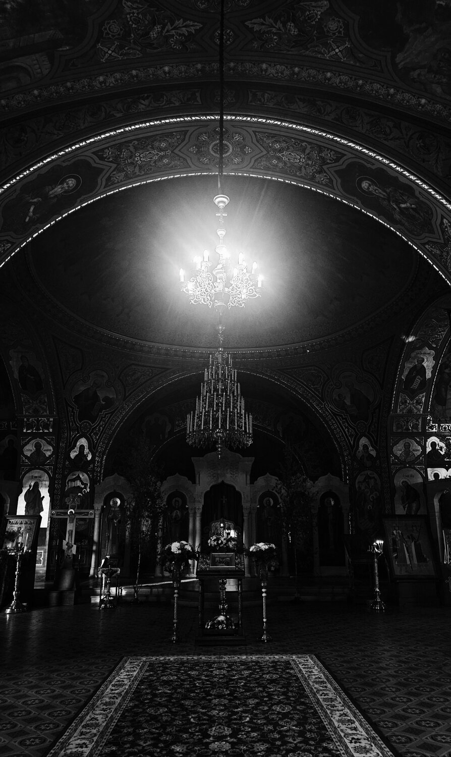Photo #13403810