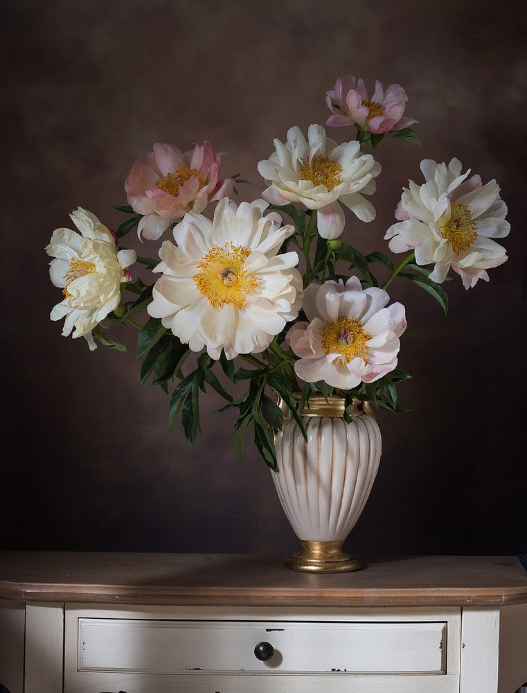 Photograph by Алина Ланкина
