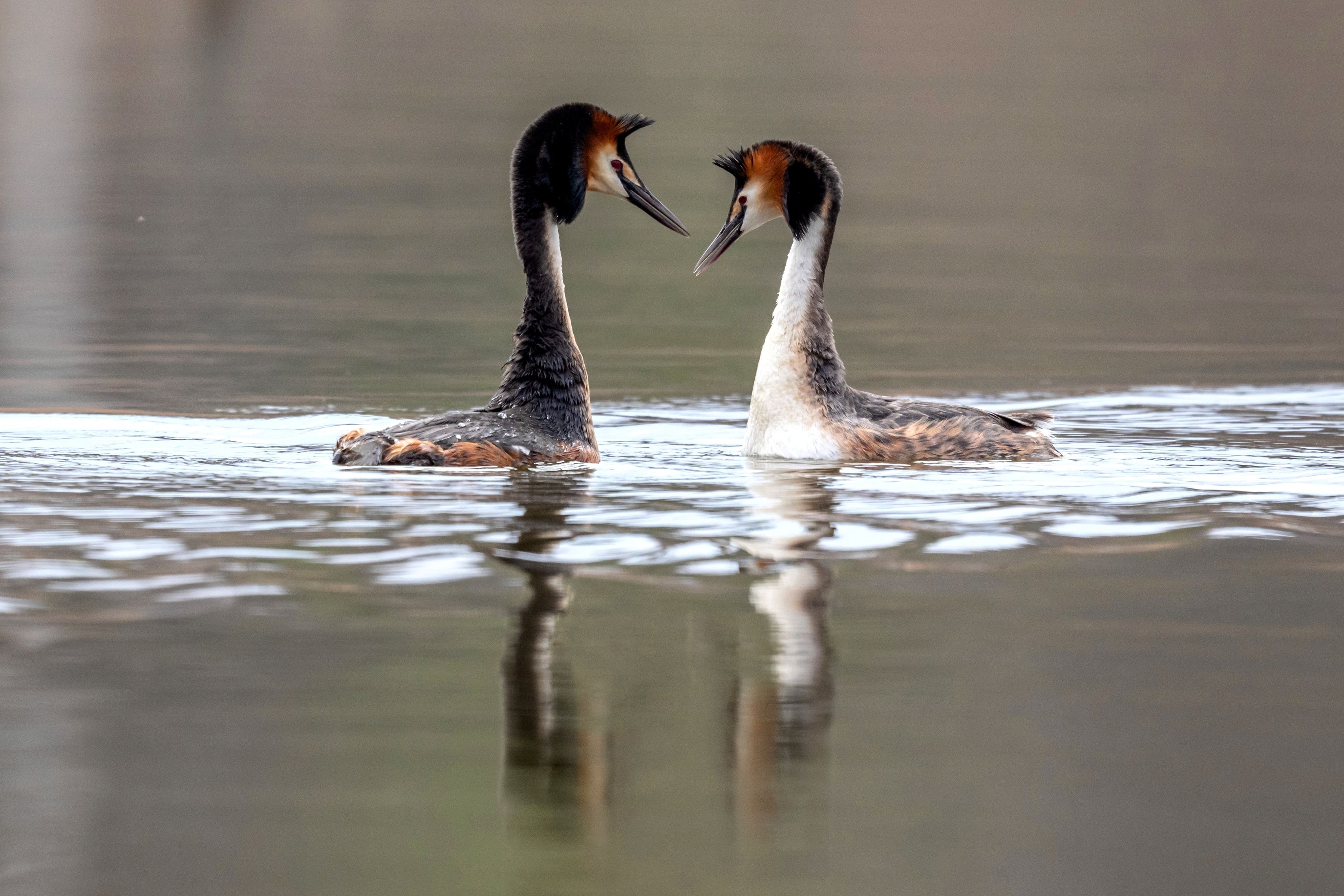 Photograph by Константин Тучин