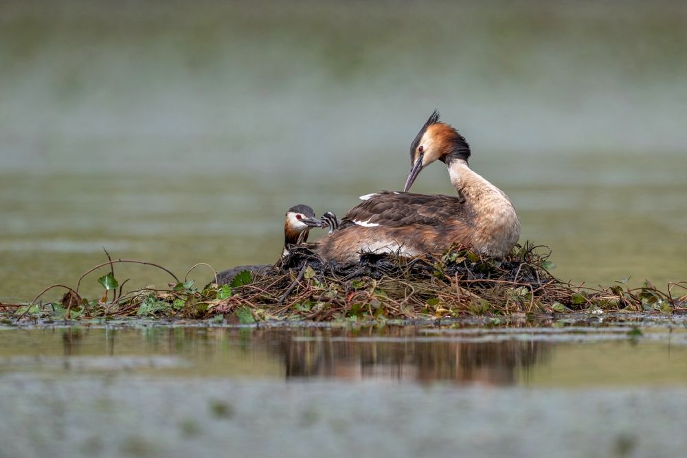 Photograph by Константин Тучин