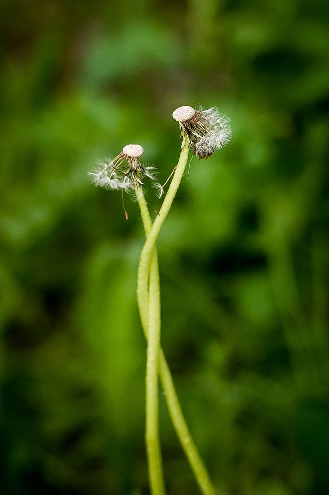 Photograph by Ирина Логовская