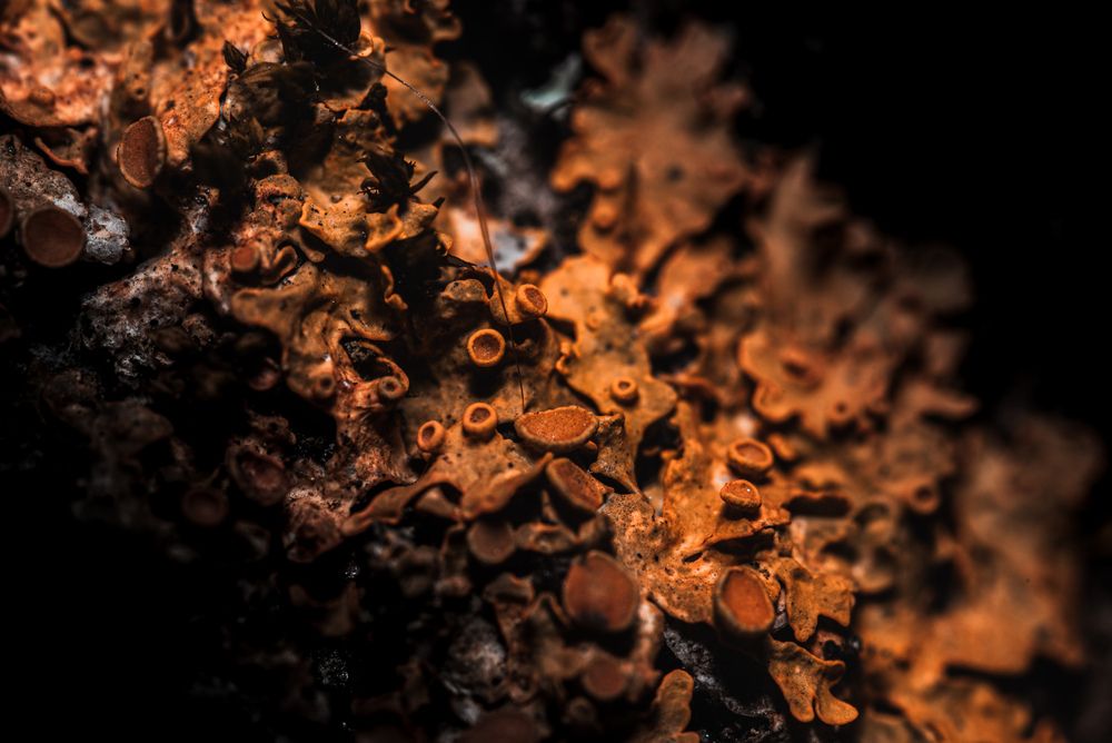 Photograph by Maxim Belous