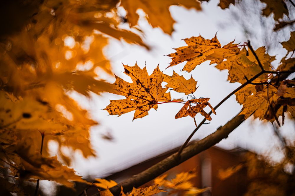Photograph by Maxim Belous