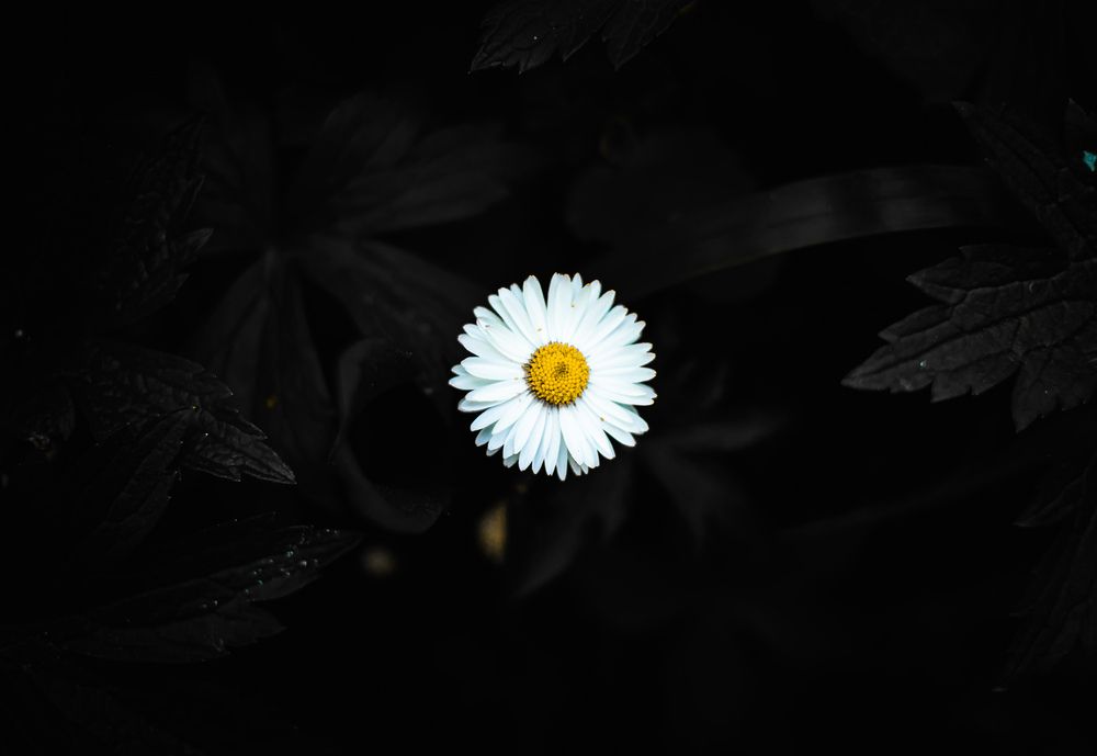 Photograph by Maxim Belous