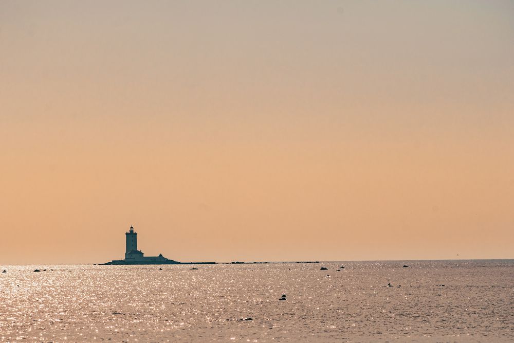 Photograph by Maxim Belous