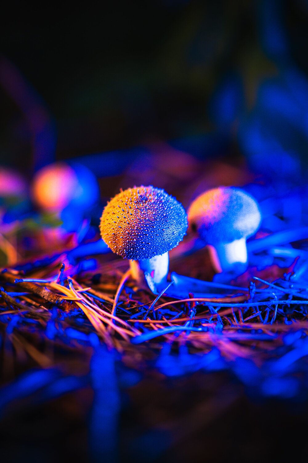 Photo #13404228