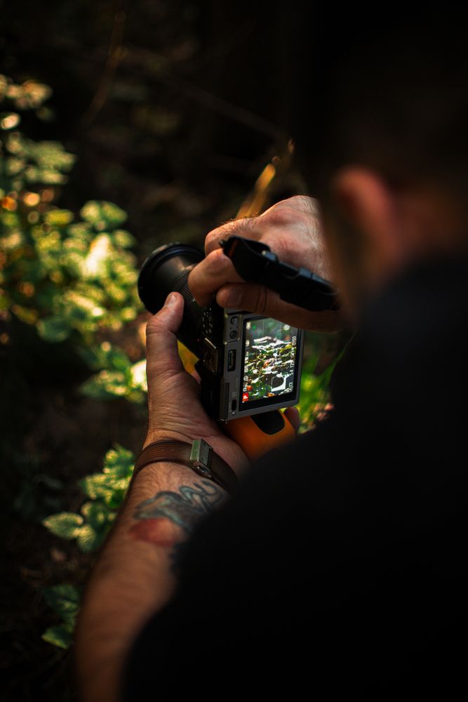 Фотография автора Maxim Belous