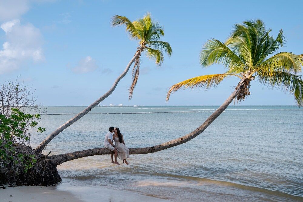 Photograph by Анна Куманцова