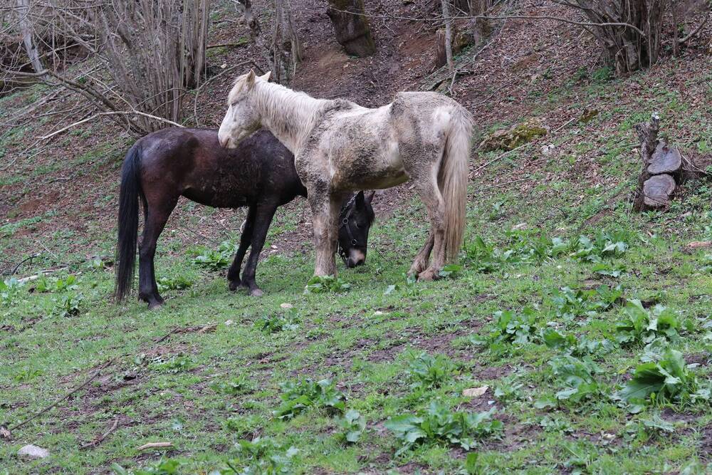 Photograph by Родосская Нонна