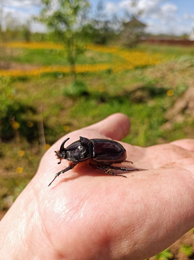 Photograph by Анна Захарчук