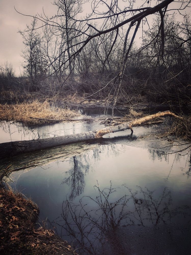 Photograph by Анна Якубинас