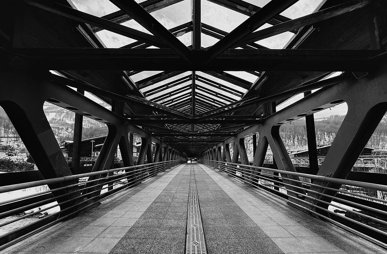 Photo #13404465