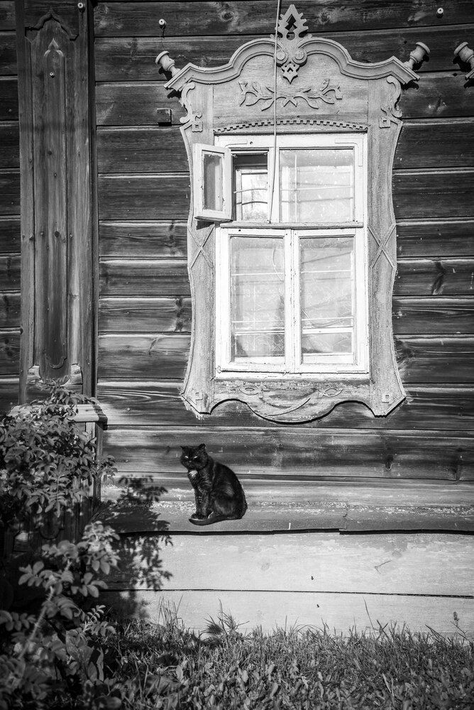 Фотография автора Жданов Дмитрий