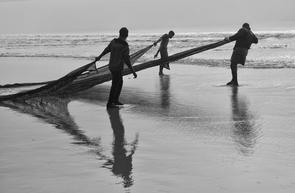 Фотография автора Kaushik Dolui