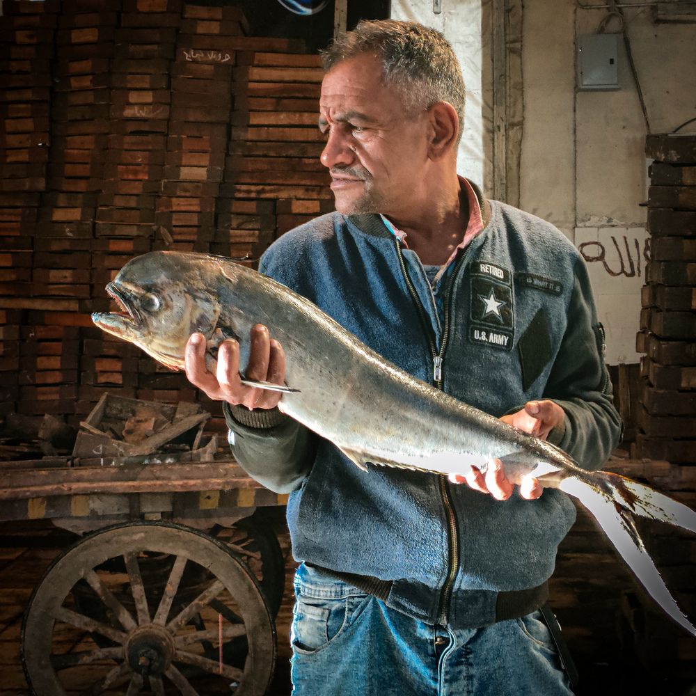 Photograph by Sara Attia