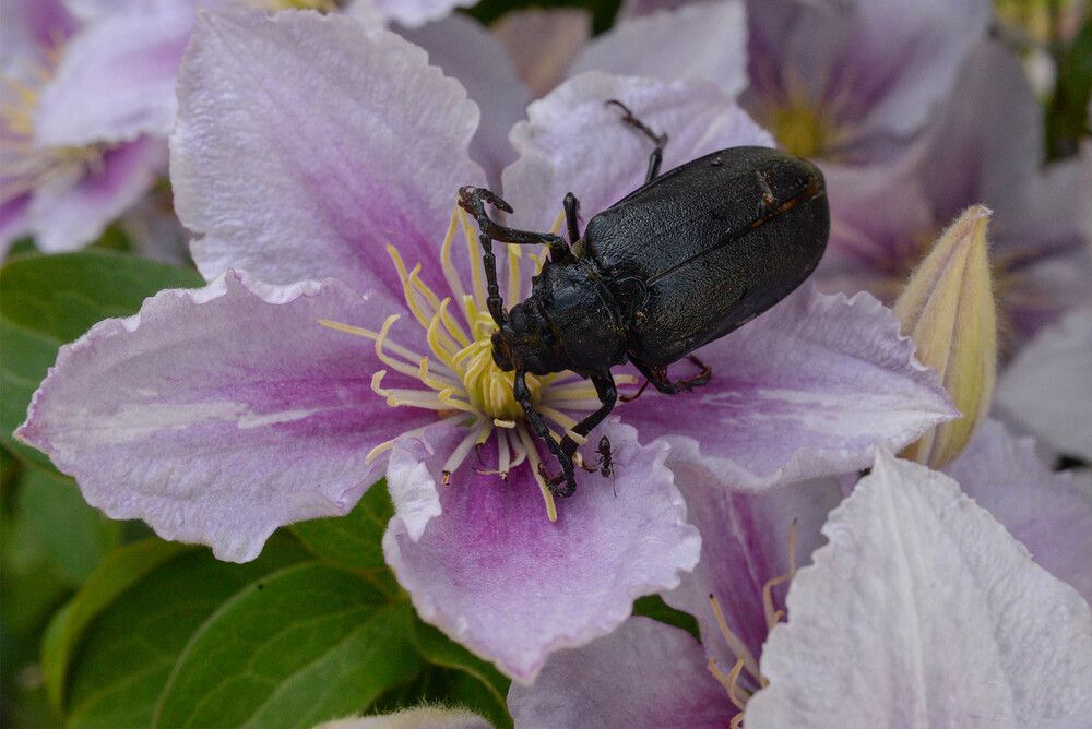 Photograph by Эдуард Шадров